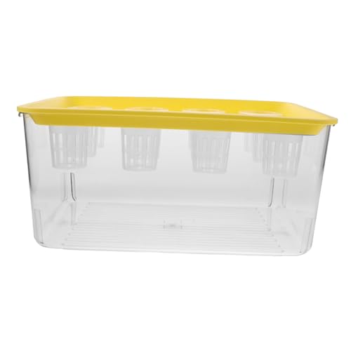 ibasenice Hydroponischer Mini-Aquarium-fischtank mit Sicherem Abdeckdeckel Selbstwachsende Wasserpflanzen Goldfisch-anlage Platzsparendes Natur-System für Wohnzimmer und Haustiersicherheit von ibasenice