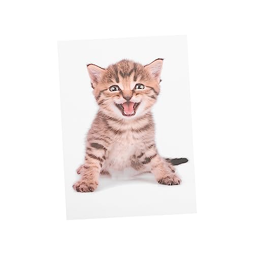 ibasenice Kreativer Katzen Wandaufkleber Abnehmbarer Toilettendeckel Sticker Pvc Niedliche Tier Wanddekoration Für Badezimmer Wasserfest Und Selbstklebend Für von ibasenice