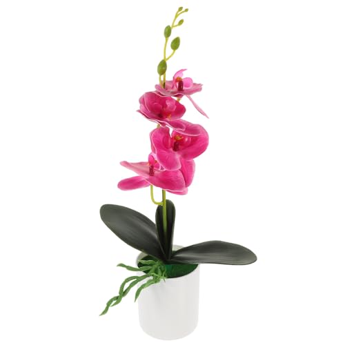 ibasenice Künstliche Orchideenblüten Eingetopft In Einem Keramiktopf Weiße Künstliche Phalaenopsis-Orchideen Fühlen Sich Echt An Bonsai Für Hochzeitstischdekoration Kunstblume Aus von ibasenice