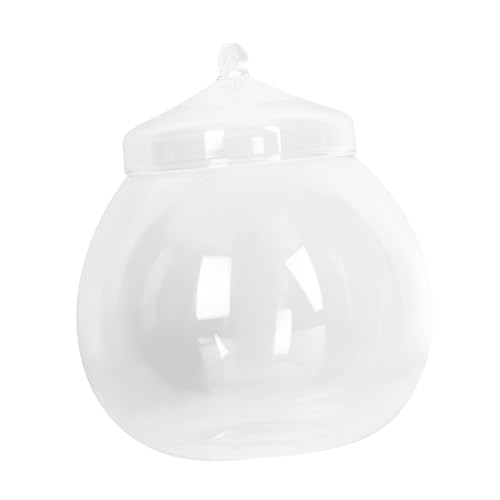 ibasenice Micro Landscape Flasche mit Deckel Glasbehälter mit Glatter Oberfläche Transparentes DIY Terrarium Dekorative Vase für Moospflanzen Vielseitige Home Decor Ökosystem Gefäß ibasenice Micro Landscape Flasche mit Deckel Glasbehälter mit Glatter Oberfläche Transparentes DIY Terrarium Dekorative Vase für Moospflanzen Vielseitige Home Decor Ökosystem Gefäß von ibasenice