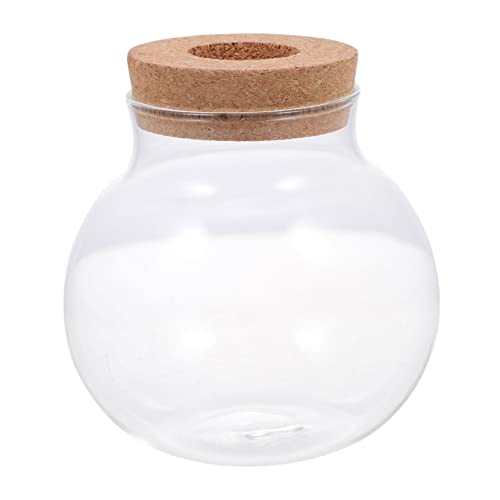 ibasenice Ökologisches Aquarium Tank Klare Ökologische Flasche Mini Fisch Wasser- Container DIY-mikrolandschaftsflasche Aquarium Wasserpflanzer Transparent Glas ibasenice Ökologisches Aquarium Tank Klare Ökologische Flasche Mini Fisch Wasser- Container DIY-mikrolandschaftsflasche Aquarium Wasserpflanzer Transparent Glas von ibasenice