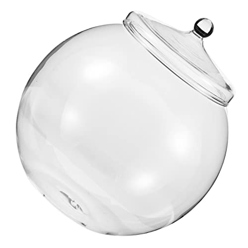ibasenice Pflanzenterrarium Glasflasche für Sukkulenten und Moos DIY Mikrolandschaftsflasche für Tischdekoration und Gartenprojekte ibasenice Pflanzenterrarium Glasflasche für Sukkulenten und Moos DIY Mikrolandschaftsflasche für Tischdekoration und Gartenprojekte von ibasenice
