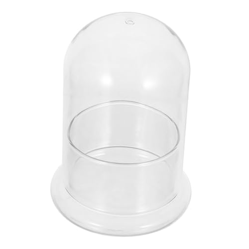 ibasenice Terrarium Glas Cloche Transparentes Geschlossenes DIY Ökosystem Hydroponic Pflanzgefäß für Moos Micro Landschaft Zimmerpflanzen Desktop Dekoration ibasenice Terrarium Glas Cloche Transparentes Geschlossenes DIY Ökosystem Hydroponic Pflanzgefäß für Moos Micro Landschaft Zimmerpflanzen Desktop Dekoration von ibasenice