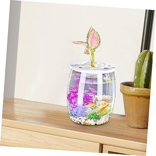 ibasenice Transparentes Kleines Kunststoff Aquarium Leichter Fischbehälter Klares Tisch Aquarium für Goldfische Kleine Schildkröten und Pflanzen Bruchsicherer Fischteich für Büro und von ibasenice