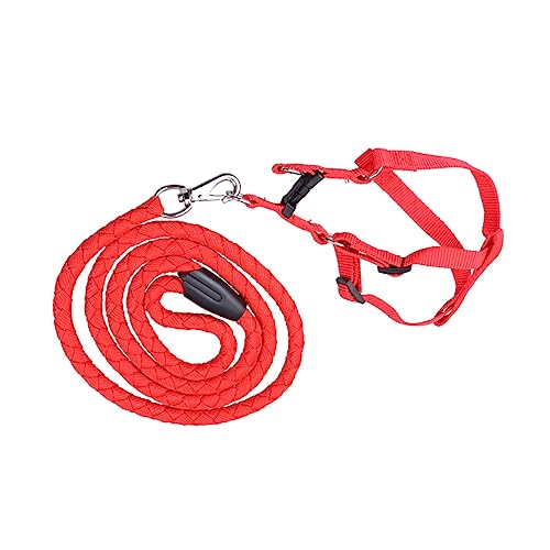 ibasenice Verstellbares Hundegeschirr mit Robustem Nylon Leuchtend Brustgeschirr Komfortable Traktion Geeignet für Große Hunde Outdoor und Sichere Haustierkontrolle XXL von ibasenice