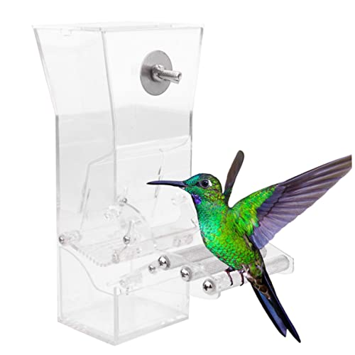 ibasenice Vogelfutterautomat Für Käfige Transparenter Vogelfutterspender Mit Saugnapf Für Fenster Für Fütterung Vögeln Zu Reinigen Und Langlebig ibasenice Vogelfutterautomat Für Käfige Transparenter Vogelfutterspender Mit Saugnapf Für Fenster Für Fütterung Vögeln Zu Reinigen Und Langlebig von ibasenice