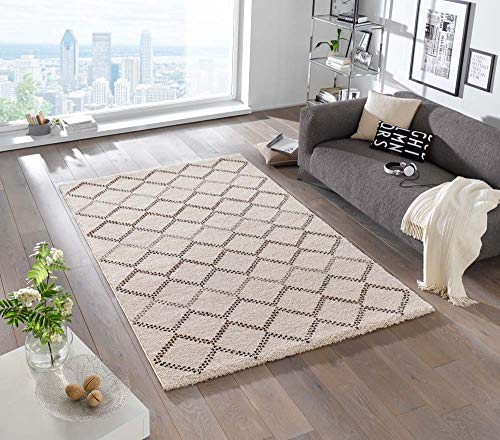 Mint Rugs Hochflor Teppich Nouveau, Weich und Flauschig, Geometrisches Design (200x290 cm, 2 cm Florhöhe, 100% Polypropylen, robust und Fußbodenheizung geeignet), Creme Braun meliert von ibili