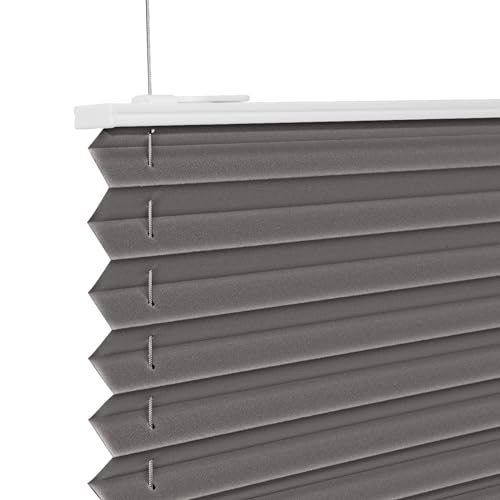 Plissee ohne Bohren Anthrazit 120x120cm Plissee Klemmfix Version Plisseerollo Sichtschutz und Sonnenschutz Blickdicht Easyfix lichtdurchlässig Rollo für Fenster & Tür von ibobu