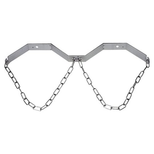 ich-zapfe Flaschenhalter für Zwei CO2-Flaschen - aus Edelstahl - Silber - Passend für Flaschendurchmesser 160 und 210mm von ich-zapfe