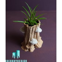 Baumstumpf Vase - Natur Trifft Design Baumstumpf Vase - Natur Trifft Design von ideabaydesignstyle