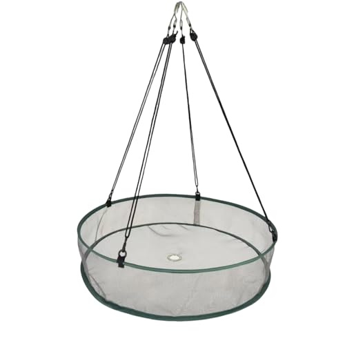 idqwsswt Hängendes Hoop Tablett für Kolibri Futterspender, Catcher Tablett für Vogelfutterspender, Vogelsamenfänger für Vogelfutterspender, Vogelfänger, grau, Sutra 50.8, 50.8 cm – 10 cm (1 Satz) von idqwsswt