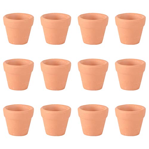 12 Stücke Mini Terrakotta Tontöpfe: Mini Tontöpfe Anzuchttöpfe Kleine Pflanztöpfe Anzucht mit Drainageloch für Innen- und Außenpflanzen Basteln von ifundom