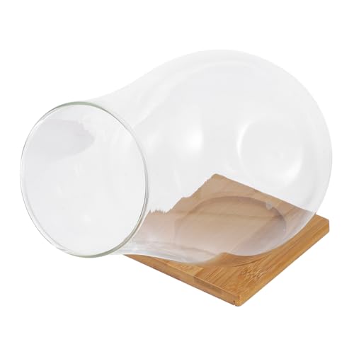 ifundom 1 Set Pflanzenterrarium Dekoglasschale Terrarienbehälter Glasterrarium Glaspflanzgefäß Pflanzenvase Indoor Glasschale Dekoschale Transparent ifundom 1 Set Pflanzenterrarium Dekoglasschale Terrarienbehälter Glasterrarium Glaspflanzgefäß Pflanzenvase Indoor Glasschale Dekoschale Transparent von ifundom