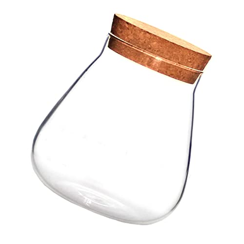 ifundom 1 Stück Glasflasche Ornamente Terrarium Terrariendeckel Aus Kork Anlage Klare Vase Mooskugelpflanze Terrarienglas Mit Korkdeckel Vasen Brown Flaschenverschluss Kork von ifundom