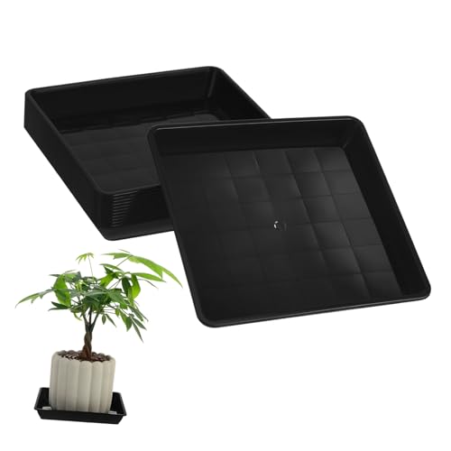 ifundom 12Stücke Teiliges Quadratische Blumentopf Untersetzer wasserdichte Bodenschalen für Pflanzen Robuste und Leicht zu Reinigende Untertassen für Innen und Außenbereich ifundom 12Stücke Teiliges Quadratische Blumentopf Untersetzer wasserdichte Bodenschalen für Pflanzen Robuste und Leicht zu Reinigende Untertassen für Innen und Außenbereich von ifundom
