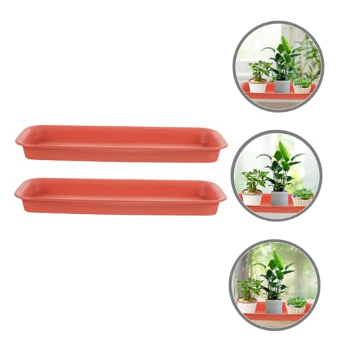 ifundom 2 Stück Rechteckige Pflanzuntersetzer aus Robustem Kunststoff Bruchfest Passend für Blumentöpfe und Übertöpfe als Pflanzgefäß Bodenablage für Innen und Außenbereich ifundom 2 Stück Rechteckige Pflanzuntersetzer aus Robustem Kunststoff Bruchfest Passend für Blumentöpfe und Übertöpfe als Pflanzgefäß Bodenablage für Innen und Außenbereich von ifundom