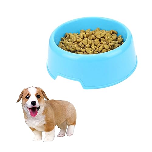 ifundom 2 Stück Teiliges Rutschfestes Haustier Trinknapf aus Sicherem Kunststoff Leichter Futter und Wassernapf für Hunde und Katzen Langlebig und Einfach zu Reinigen Blaue Futterschale ifundom 2 Stück Teiliges Rutschfestes Haustier Trinknapf aus Sicherem Kunststoff Leichter Futter und Wassernapf für Hunde und Katzen Langlebig und Einfach zu Reinigen Blaue Futterschale von ifundom