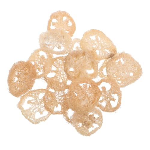 ifundom 24 Stücke Natürliche Luffa Kauscheiben für Kleintiere Essbare Molaren-kauspielzeuge für Hamster Kaninchen Meerschweinchen Stressreduzierend Langlebig für Käfigzubehör und von ifundom