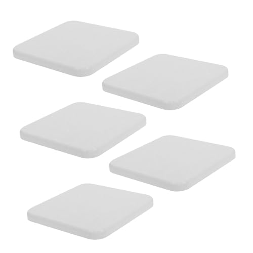 ifundom 5 Stück Diatomit Pflanzuntersetzer Schnelltrocknend Saugfähige Stein Blumentopf Untersetzer Wiederverwendbare Pflanzen Trays mit Dekorativer Gravur für Innenbereich von ifundom