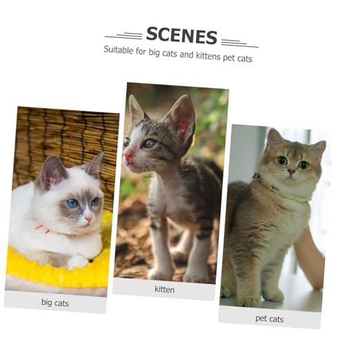 ifundom Buntes Katzenspielzeug Kratzbrett mit Imitationsmaus Kreatives Katzen kratzbrett zur Krallenpflege Platzsparend Robust Geeignet für Wohnung und Indoor spielspaß Zufällige Farbe von ifundom