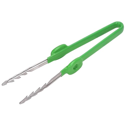 ifundom Gartenpinzette Und Handliche Pflanzpinzette Für Gartenarbeit Multifunktionales Werkzeug Für Sukkulentenpflege Und Gemüseanbau ifundom Gartenpinzette Und Handliche Pflanzpinzette Für Gartenarbeit Multifunktionales Werkzeug Für Sukkulentenpflege Und Gemüseanbau von ifundom