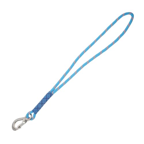 ifundom Hängesessel Aufhängung Aufhängungsgurte mit Karabiner Geeignet für Hängematte Schaukel und Outdoor Aktivitäten Blau Edelstahlhaken ifundom Hängesessel Aufhängung Aufhängungsgurte mit Karabiner Geeignet für Hängematte Schaukel und Outdoor Aktivitäten Blau Edelstahlhaken von ifundom