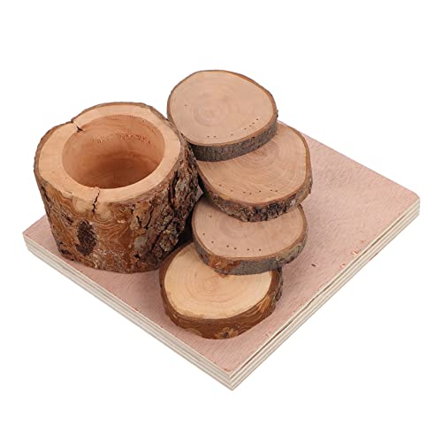 ifundom Kleintier Kletterplattform aus Holz für Hamster mit Bissfestes zur Beschäftigung für Kleine Tiere Fördert Bewegung und Spielspaß ifundom Kleintier Kletterplattform aus Holz für Hamster mit Bissfestes zur Beschäftigung für Kleine Tiere Fördert Bewegung und Spielspaß von ifundom