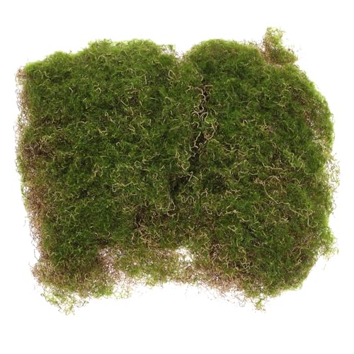 ifundom Künstliche Moosmatte Simulierte Mooslandschaft für Dekorationen für Miniaturgärten Terrarien und DIY Projekte Lebensechte Moosoptik ifundom Künstliche Moosmatte Simulierte Mooslandschaft für Dekorationen für Miniaturgärten Terrarien und DIY Projekte Lebensechte Moosoptik von ifundom