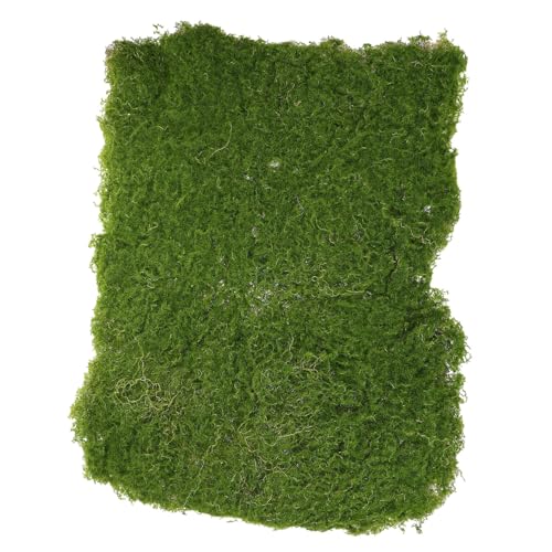ifundom Künstlicher Realistischer Kunstrasen für DIY Projekte Geeignet für Sandtisch Aquarien und Garten Dekoration Langlebig und Vielseitig Einsetzbar von ifundom