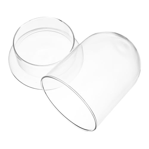 ifundom Micro Landscape Ecological Glasflasche mit Basis Langlebiges DIY Flaschengarten Terrarium für Tischdekoration Zuhause Büro Handgefertigtes Transparentes Ökosystem Gefäß mit von ifundom