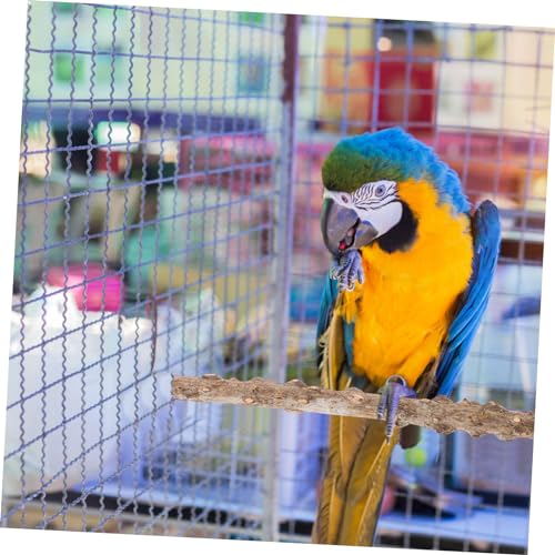 ifundom Natürliche Vogelstand Stange aus Holz Kratzfest und Sicher Geeignet für Papageien Sittiche Nymphensittiche Einfach zu Montieren Vogelkäfig Zubehör für Krallenpflege und ifundom Natürliche Vogelstand Stange aus Holz Kratzfest und Sicher Geeignet für Papageien Sittiche Nymphensittiche Einfach zu Montieren Vogelkäfig Zubehör für Krallenpflege und von ifundom