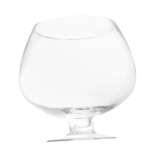 ifundom Transparenter Multifunktionaler Goldfischglas Aquarium Tank mit Hydroponik vase Platzsparend Klarer Sicht für Kleine Räume Schreibtisch und Ablagefläche von ifundom
