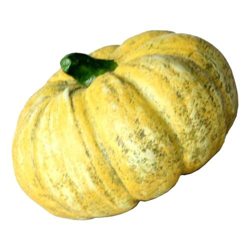 ifundom Widerstandsfähige Aquarium Deko Filigrane Fischhöhle mit Stabilem Boden Unterwasserlandschaft Dekoratives Aquarium Ornament Geeignet für Fischbecken und Gartendekoration von ifundom