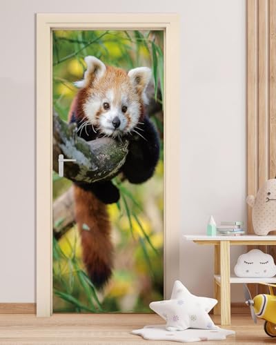 Selbstklebend Türbekleben Tierischer Roter Panda Türtapete 77x200 cm, TürPoster Roter Panda Türbilder 3D Türaufkleber Dekoration Poster Tapete Türfolie, Fototapete Wandtattoo Tür Tapeten m2352 Selbstklebend Türbekleben Tierischer Roter Panda Türtapete 77x200 cm, TürPoster Roter Panda Türbilder 3D Türaufkleber Dekoration Poster Tapete Türfolie, Fototapete Wandtattoo Tür Tapeten m2352 von igyhuij