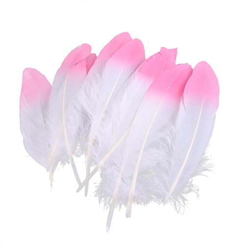ihreesy 10 Stück Natürliche Weiße Federn mit in Rosa Rot Getränkter Spitze, 4.5cm-10cm Natürliche Gänsefeder Dekofedern Zum Basteln DIY Bastelfedern Naturfedern für Kostüme Hüte Zuhause Dekor von ihreesy