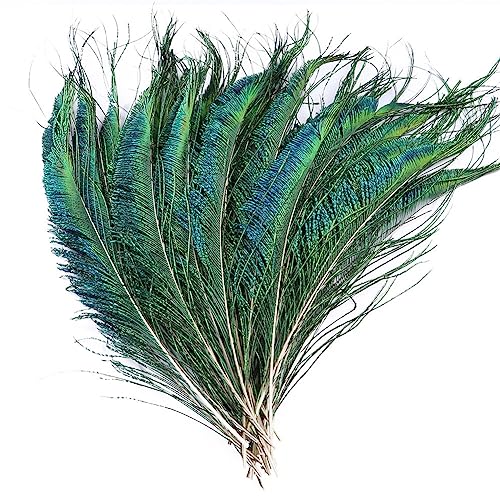 ihreesy 100 Stück Schöne Natürliche Pfau Federn, 25cm–30cm Natürliche Schwertpfauenfedern Pfauenfedern Pfauenaugen Schmuck für Hochzeit Dekorationen Tafelaufsätze Heimdekoration ihreesy 100 Stück Schöne Natürliche Pfau Federn, 25cm–30cm Natürliche Schwertpfauenfedern Pfauenfedern Pfauenaugen Schmuck für Hochzeit Dekorationen Tafelaufsätze Heimdekoration von ihreesy