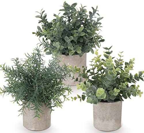 ilauke 3 Stücke Künstliche Pflanzen Mini Kunstpflanzen Echt Eukalyptus Rosmarin Babysbreath Kleine mit Töpfen Tischdeko Haus Balkon Büro Deko ilauke 3 Stücke Künstliche Pflanzen Mini Kunstpflanzen Echt Eukalyptus Rosmarin Babysbreath Kleine mit Töpfen Tischdeko Haus Balkon Büro Deko von ilauke