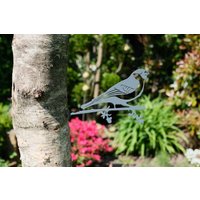 Illumino Gartendeko Baumstecker Dompfaff, Pulverbeschichtung, Drei Farben Erhältlich, Rostfrei, Größe 160 X 224mm, 4mm Spezial Stahl Illumino Gartendeko Baumstecker Dompfaff, Pulverbeschichtung, Drei Farben Erhältlich, Rostfrei, Größe 160 X 224mm, 4mm Spezial Stahl von illuminodesign