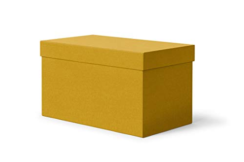 ilo - Aufbewahrungsbox mit Deckel cm 45x25 H.25 - Aufbewahrungskorb für Büro, Kleidung, Bettwäsche, Decken, Spielzeug, Bücher - Technischen Stoff Gelb - Recycelbar und in Italien Hergestellt von ilo