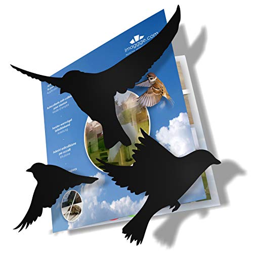 Anti-Kollisions-Aufkleber, um Vogelschläge auf Fensterglas zu verhindern, Set mit 20 Silhouetten, Farbe: Schwarz, Fensteraufkleber, Vogelprävention, Reflektoren von imaggge.com
