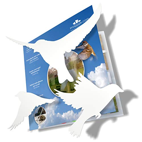Anti-Kollisions-Aufkleber, um Vogelschläge auf Fensterglas zu verhindern, Set mit 20 Silhouetten, Farbe: Weiß, Fensteraufkleber, Vogelprävention, Reflektoren von imaggge.com