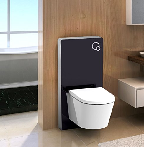 Schwarzglas Sanitärmodul für Wand-WC inkl. Betätigungsplatte von impex-bad_de