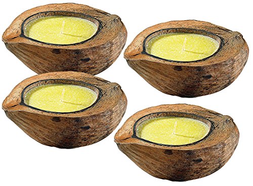 infactory Insektenschutz Kerze: Anti-Mücken-Kerzen in Kokosnuss-Schale (4er Set) (Anti Insekten Kerze, Antimückenkerzen, Moskitonetz) von infactory