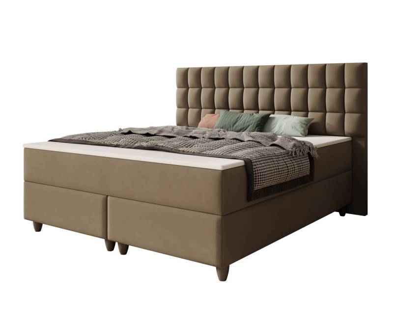 interbed Boxspringbett Wien 180x200cm Samtstoff TFK (Boxspringbett, schlafbett mit matratze 180x200, bett 180x200 boxspringbett), inklusive Matratzen und Topper von interbed