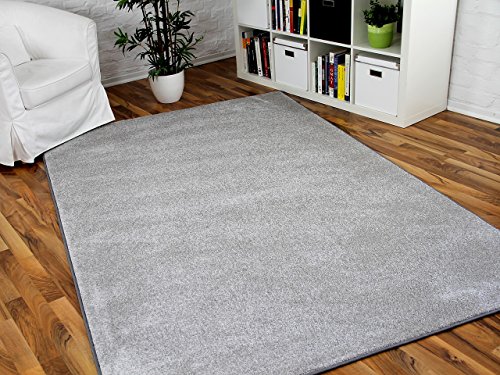 Hochflor Velours Teppich Triumph Hellgrau in 24 Größen von interiortrend