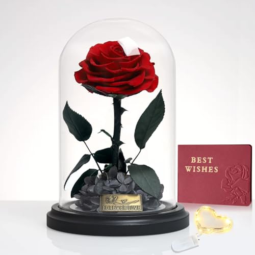Ewige Rose im Glas mit LED, Echte Infinity Rose in Einer Glaskuppel mit Einer Geschenkbox Geschenke Konservierte Blumen für Frauen Mama Oma Freundin Muttertag Valentinstag Weihnachten Ewige Rose im Glas mit LED, Echte Infinity Rose in Einer Glaskuppel mit Einer Geschenkbox Geschenke Konservierte Blumen für Frauen Mama Oma Freundin Muttertag Valentinstag Weihnachten von inyeskon
