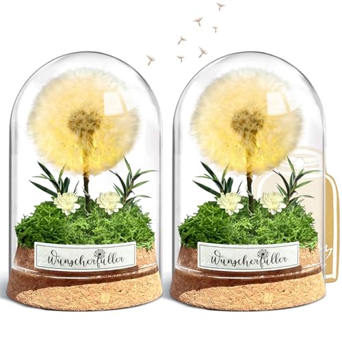 Wunscherfüller mit LED Licht, Echte Pusteblume im Glass, Ewig Geburtstagsgeschenk für Frauen Freundin Mädchen Geschenke für Geburtstag Hochzeit Jugendweihe Weihnachten Valentinstag 2 Stück (2 Stück) Wunscherfüller mit LED Licht, Echte Pusteblume im Glass, Ewig Geburtstagsgeschenk für Frauen Freundin Mädchen Geschenke für Geburtstag Hochzeit Jugendweihe Weihnachten Valentinstag 2 Stück (2 Stück) von inyeskon