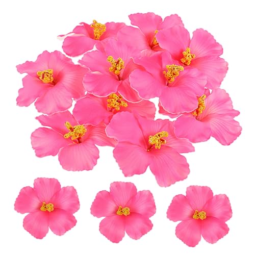 iplusmile 10 Stück Künstliche Blumendekoration Hibiskusblumen Blumen- Hibiskus-Dekorationen lei Girlande Living Room Decoration wohnzimmerdeko Hibiskusblütendekor gefälschte Blume Eva Rosa iplusmile 10 Stück Künstliche Blumendekoration Hibiskusblumen Blumen- Hibiskus-Dekorationen lei Girlande Living Room Decoration wohnzimmerdeko Hibiskusblütendekor gefälschte Blume Eva Rosa von iplusmile