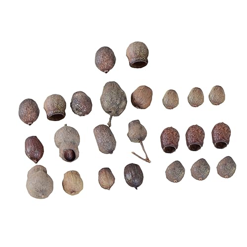 iplusmile 24 Stück Teiliges Natürliche Getrocknete Früchte Weihnachtsdeko DIY Kranz Schmuck Fensterdeko Geschenkbox Verzierung Rustikal für Fest Hochzeitsfeier Party von iplusmile