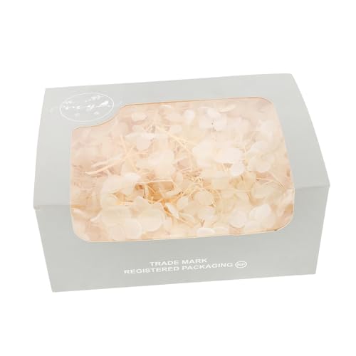 iplusmile Echte Getrocknete Blumen Box DIY Blumenmaterial für Hochzeiten Gepresste Trockenblumen für Bastelprojekte Natürliche Dekorationen und Arrangements von iplusmile